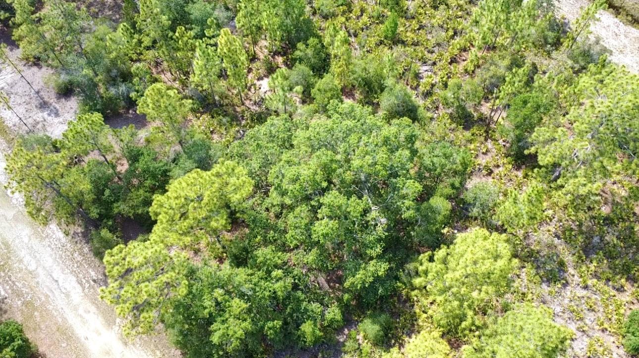 INDIAN LAKE ESTATES - Land