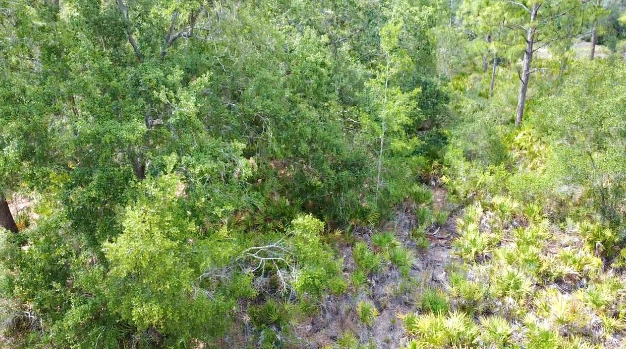 INDIAN LAKE ESTATES - Land