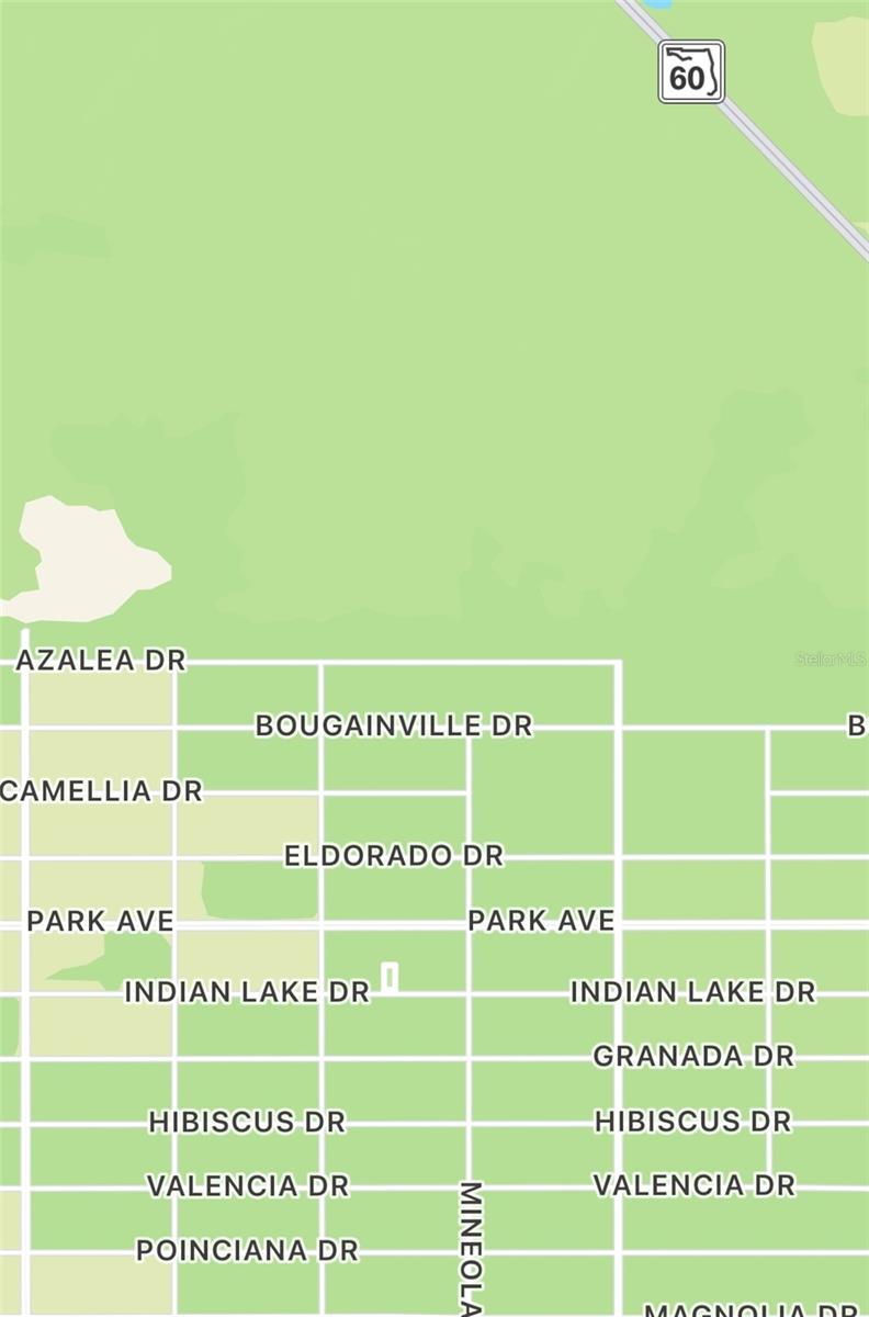 INDIAN LAKE ESTATES - Land