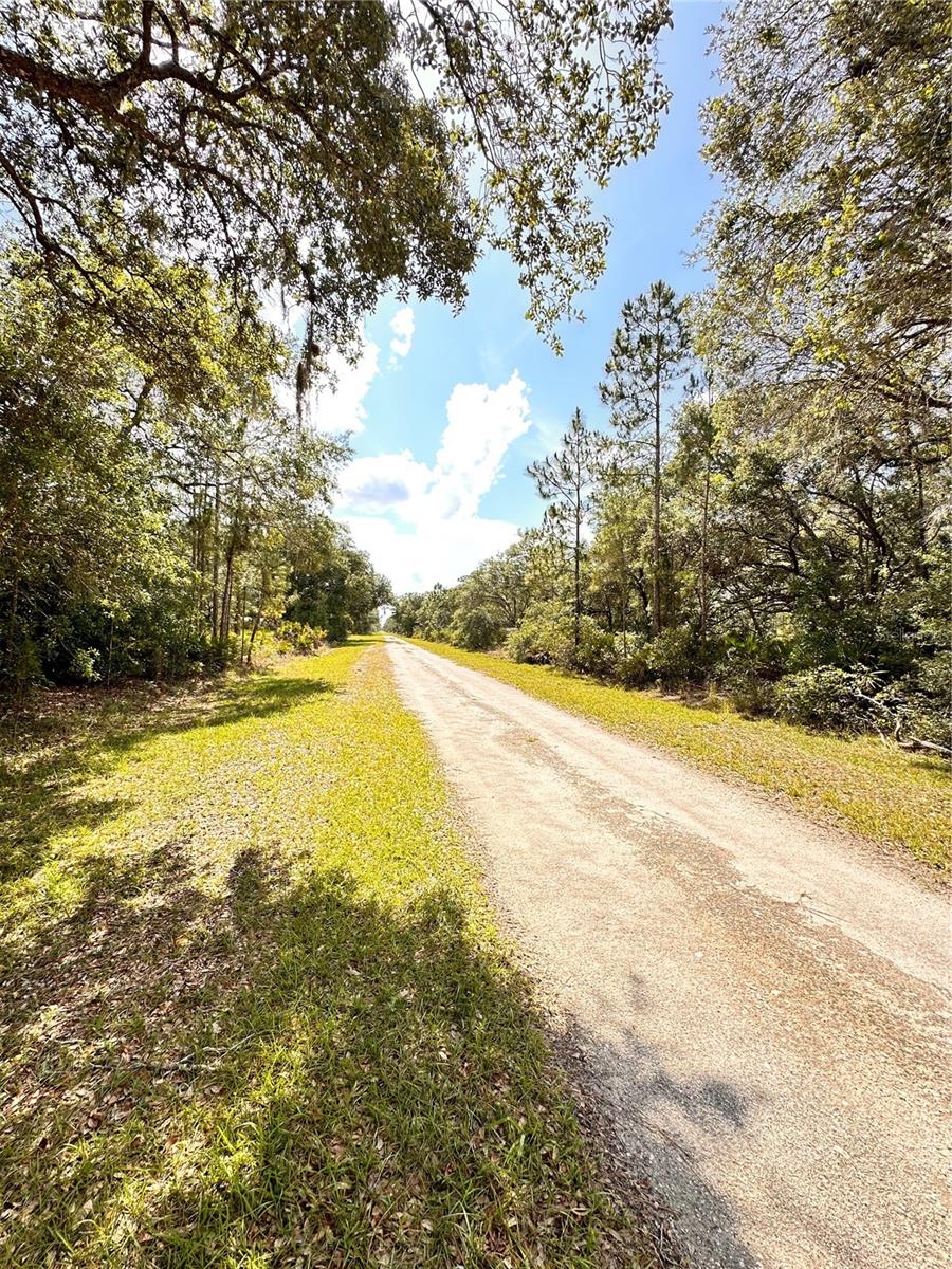 INDIAN LAKE ESTATES - Land