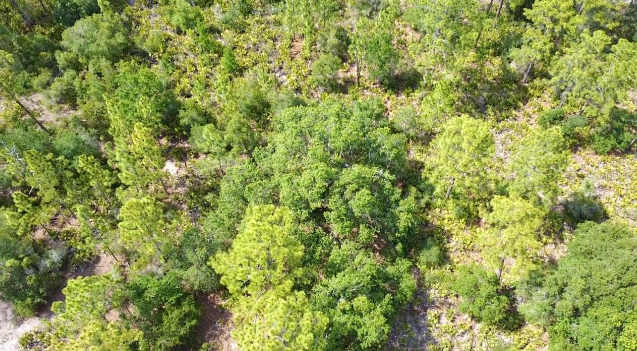 INDIAN LAKE ESTATES - Land