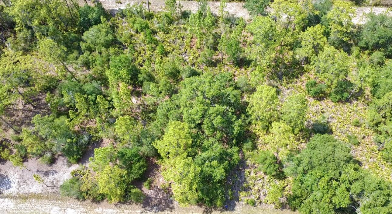 INDIAN LAKE ESTATES - Land