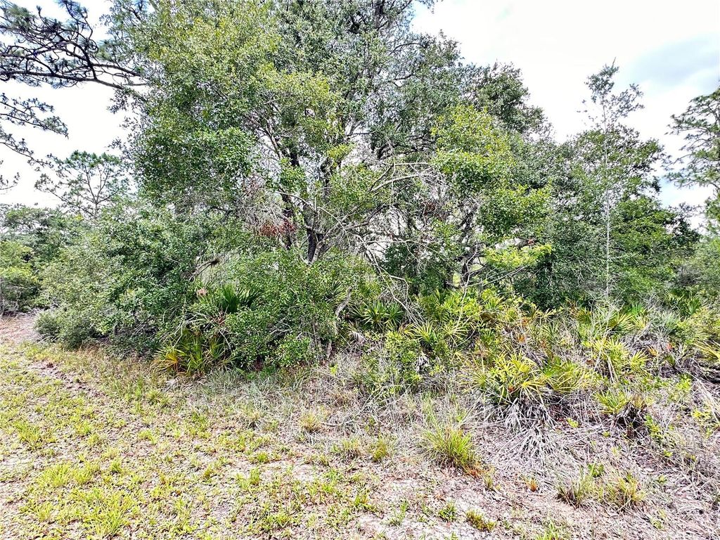 Photo of 514 Indian Lake Drive, Indian Lake Estates, FL 33855 (MLS # O6310590)