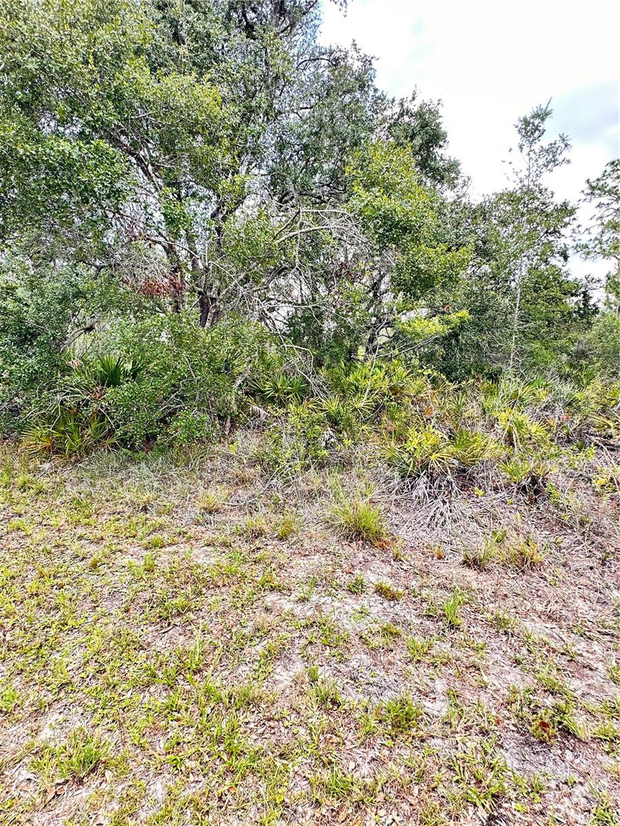 INDIAN LAKE ESTATES - Land