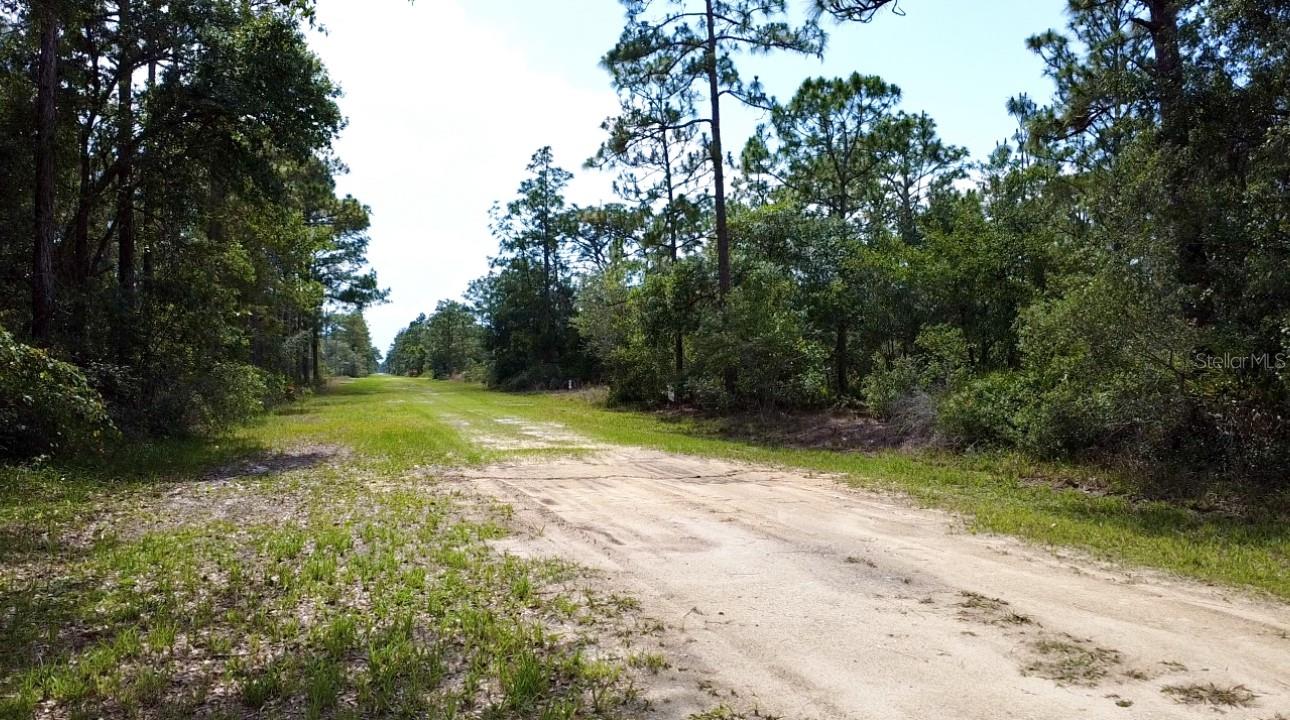 INDIAN LAKE ESTATES - Land