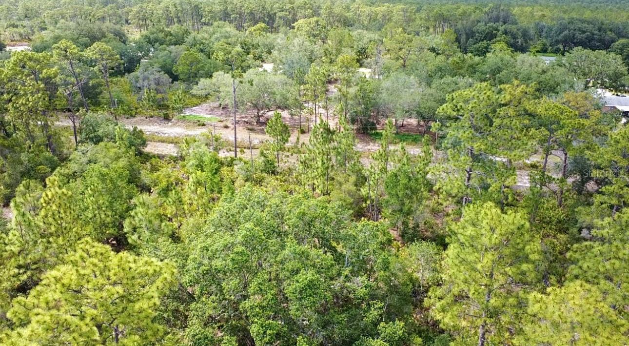 INDIAN LAKE ESTATES - Land