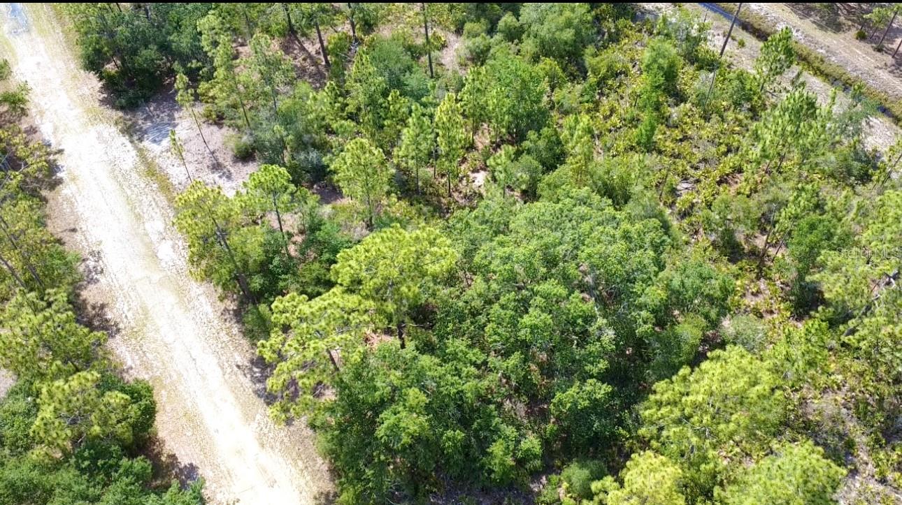 INDIAN LAKE ESTATES - Land