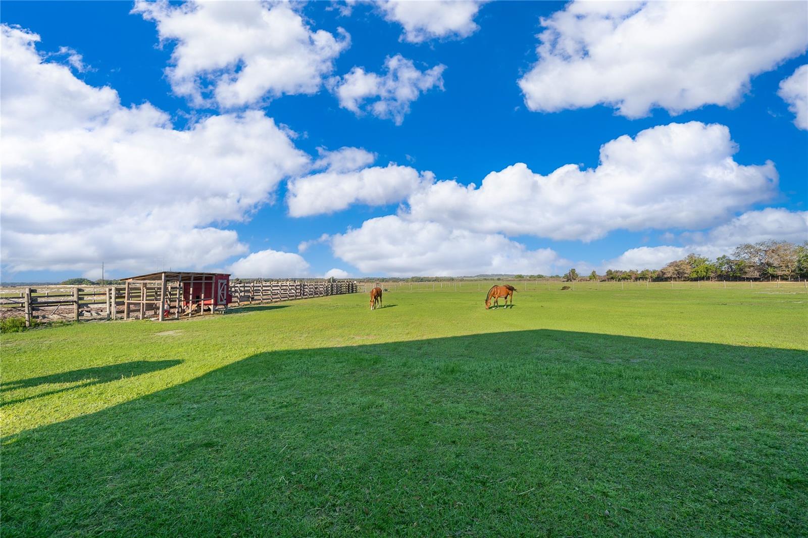 MAMMOTH GROVE - Residential