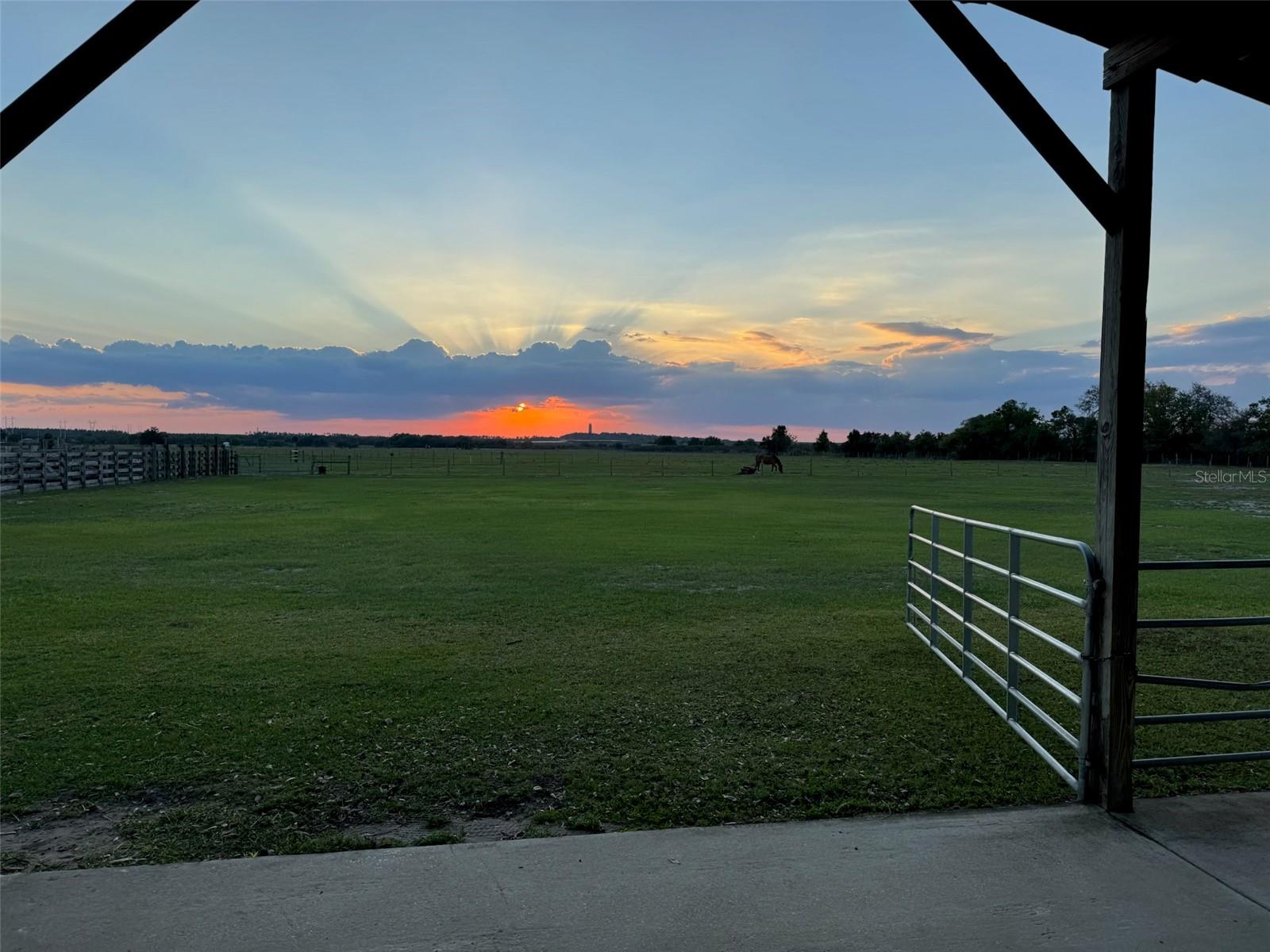 MAMMOTH GROVE - Residential