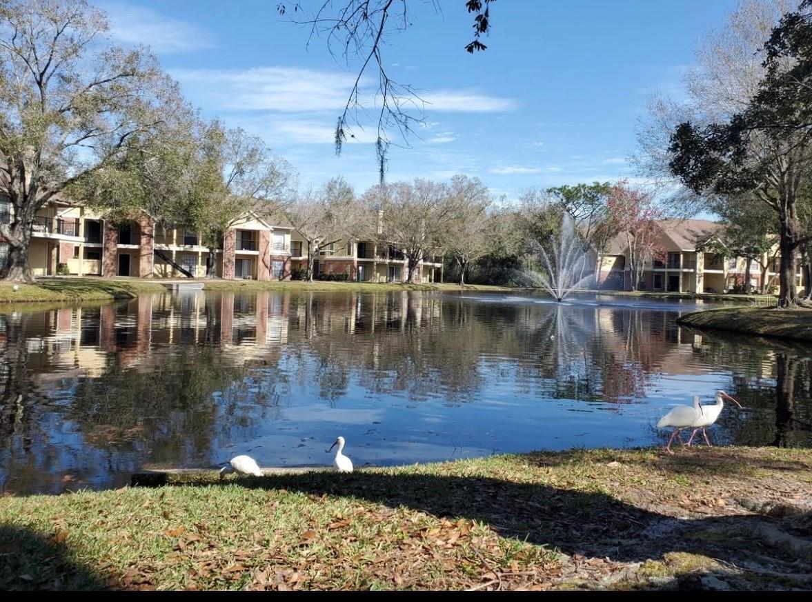 THE GRAND RESERVE CONDO - Residential