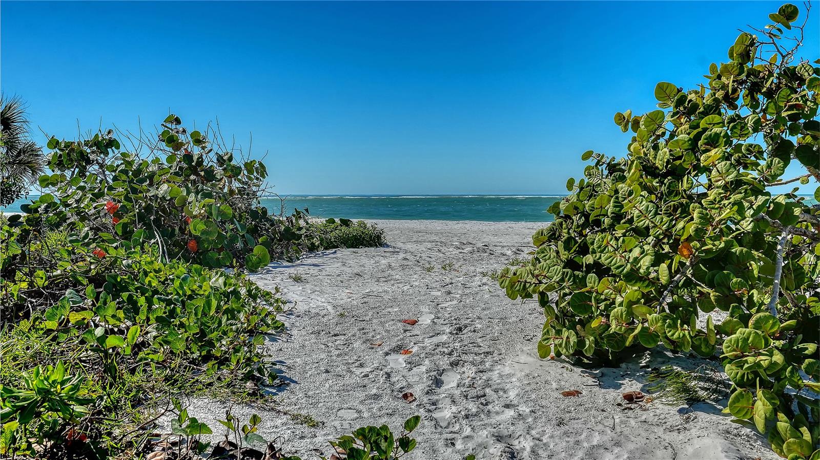 LIDO C/ LIDO SHORES - Residential