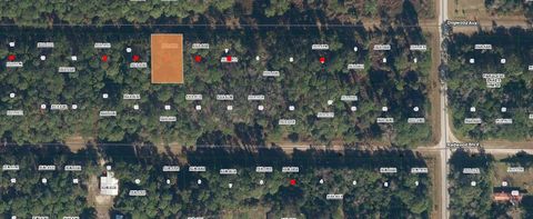 423 DOGWOOD AVENUE GEORGETOWN FL 32139