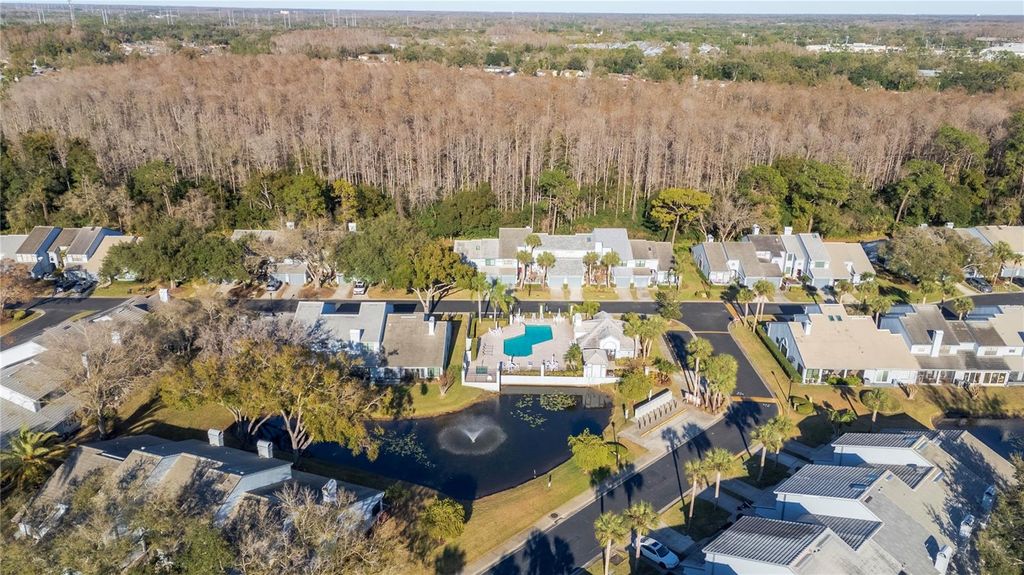 Photo of 4138 Brentwood Park Circle, Tampa, FL 33624 (MLS # TB8468891)