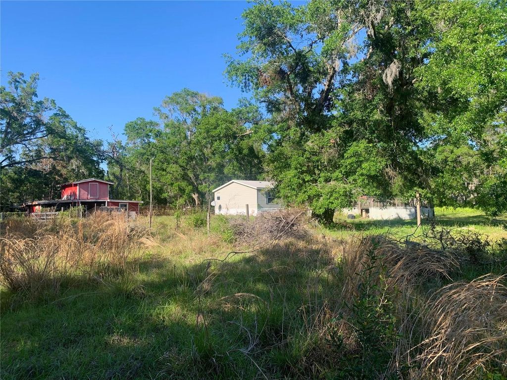Photo of 23105 Jerome Road, Land O Lakes, FL 34639 (MLS # TB8374516)