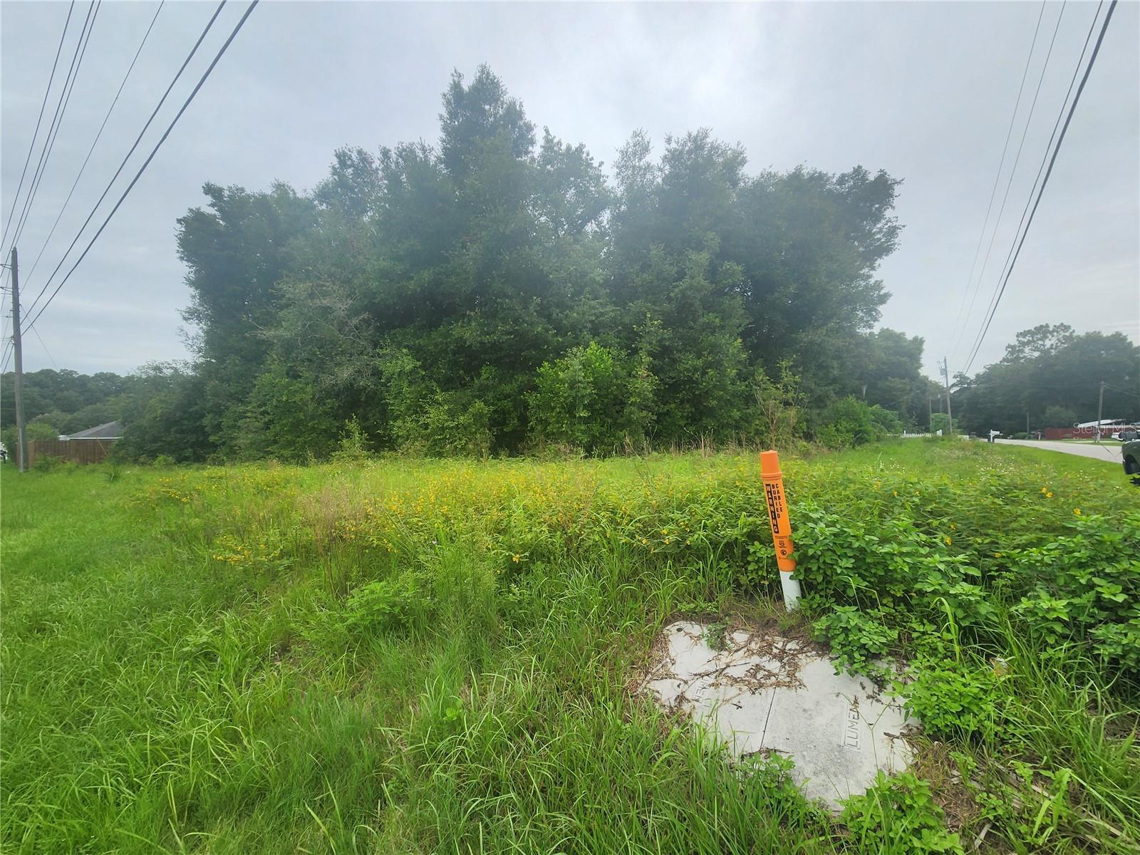 BELLEVIEW HEIGHTS ESTATE - Land