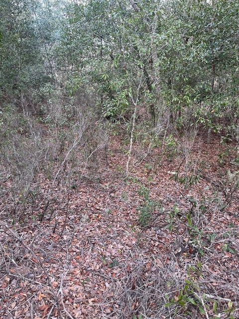 Tiny photo for 0 NE 82nd Place, Bronson, FL 32621 (MLS # G5105956)