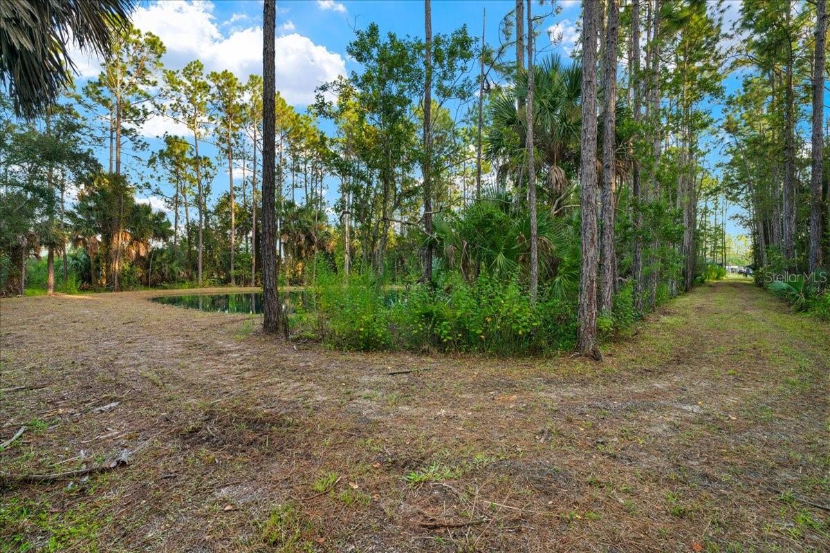 NOT IN SUBDIVISION - Residential