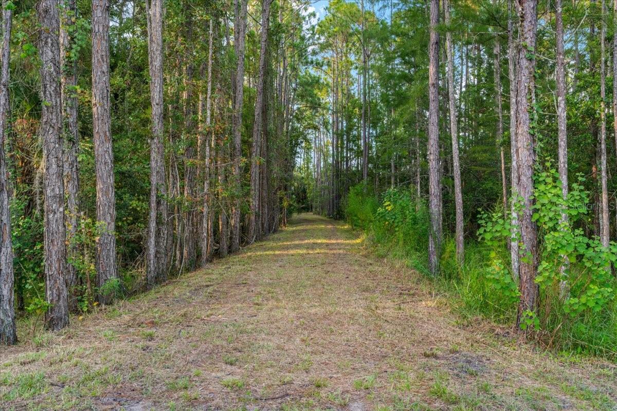 NOT IN SUBDIVISION - Residential