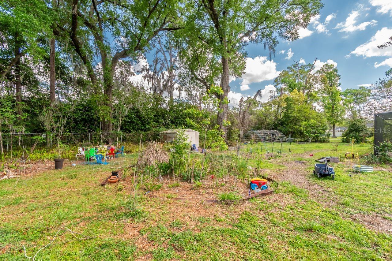 FT KING FOREST - Residential