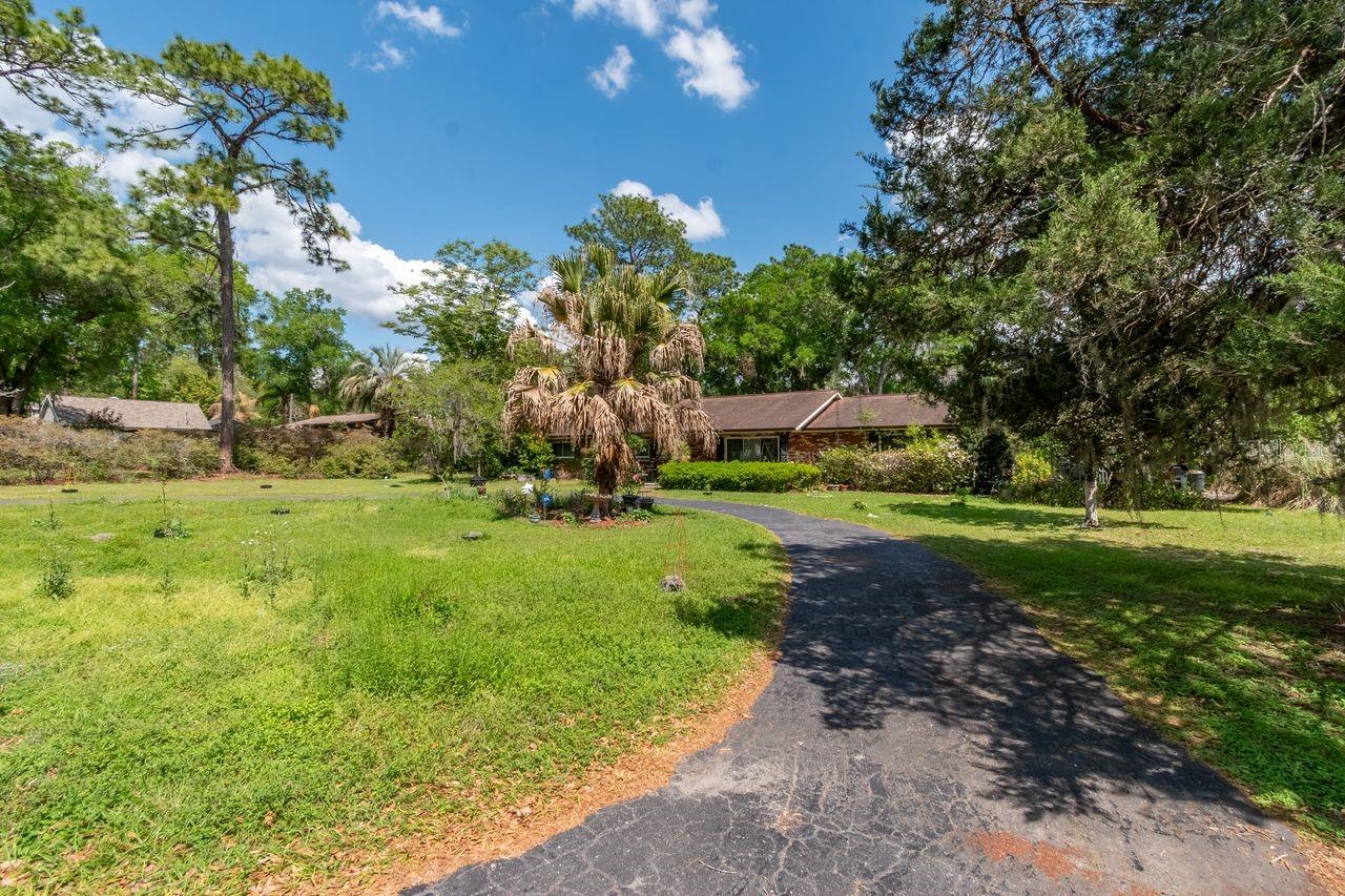 FT KING FOREST - Residential