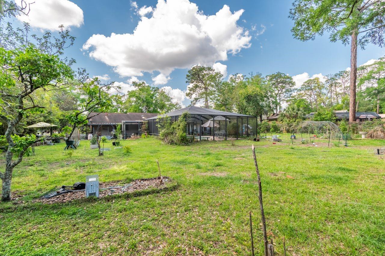 FT KING FOREST - Residential