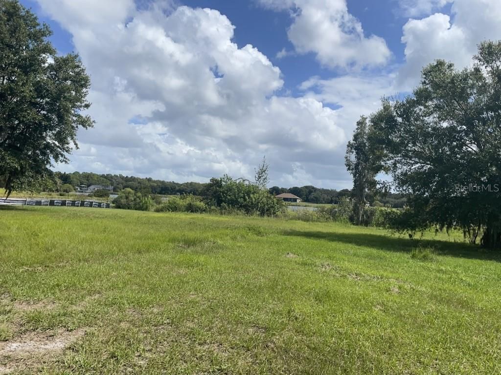 Photo of 11 Trumpeter Court, Odessa, FL 33556 (MLS # TB8434999)