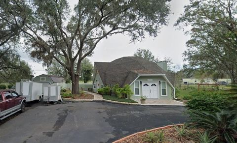 Photo of 10424 Lyons Avenue, Lithia, FL 33547 (MLS # O6396706)