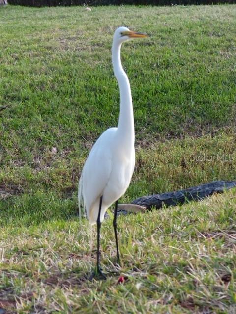 MEDITERRANEAN MANORS - Residential