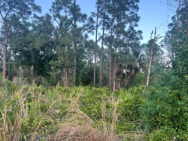 Photo of 13352 Rodin Drive, Punta Gorda, FL 33955 (MLS # TB8539758)