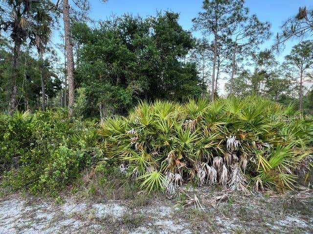 Photo of 13352 Rodin Drive, Punta Gorda, FL 33955 (MLS # TB8539758)