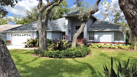 A home in RIVERVIEW