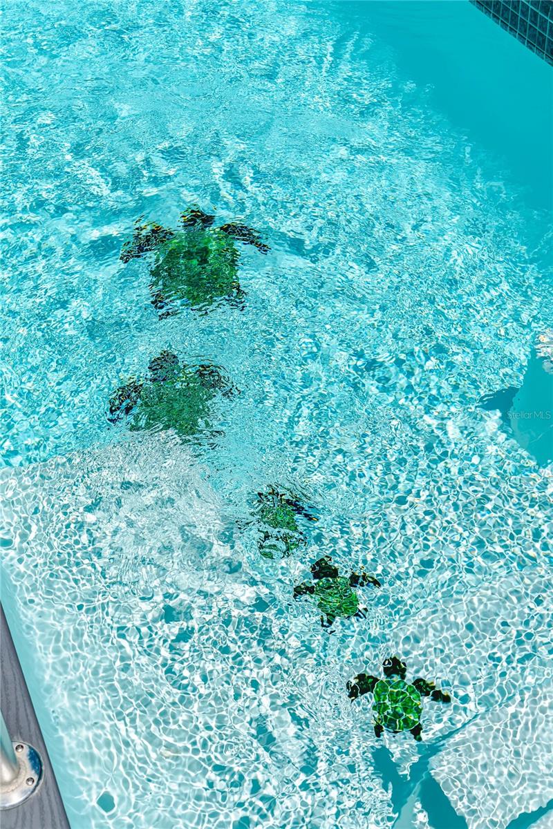 SEAGRASS - Residential