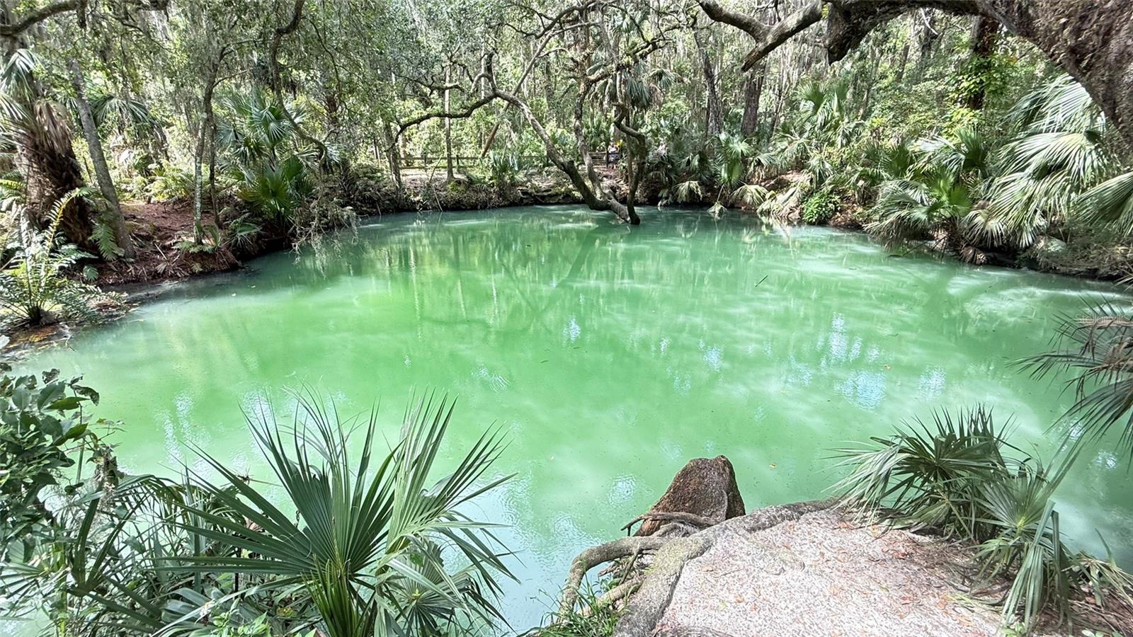 LAKESIDE CONDO APTS - Residential