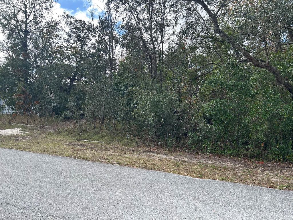 Photo of 8346 Eric Street, Spring Hill, FL 34608 (MLS # W7870857)