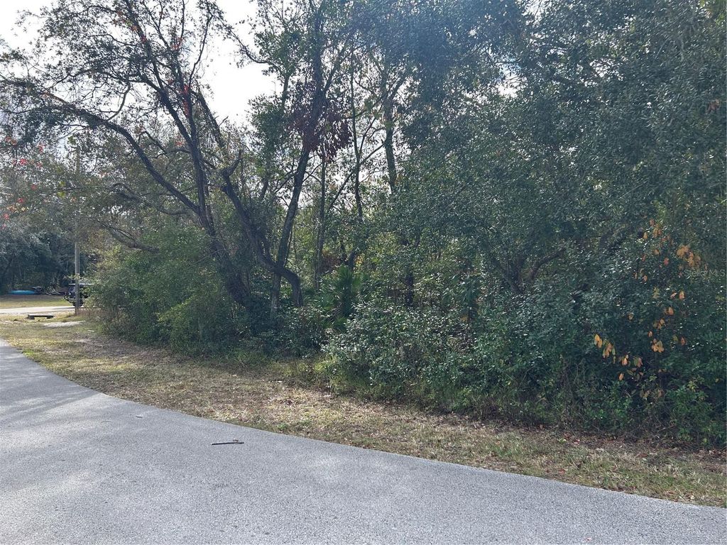 Photo of 8346 Eric Street, Spring Hill, FL 34608 (MLS # W7870857)