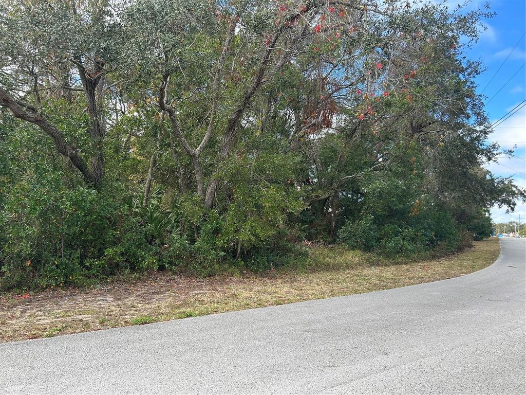Photo of 8346 Eric Street, Spring Hill, FL 34608 (MLS # W7870857)