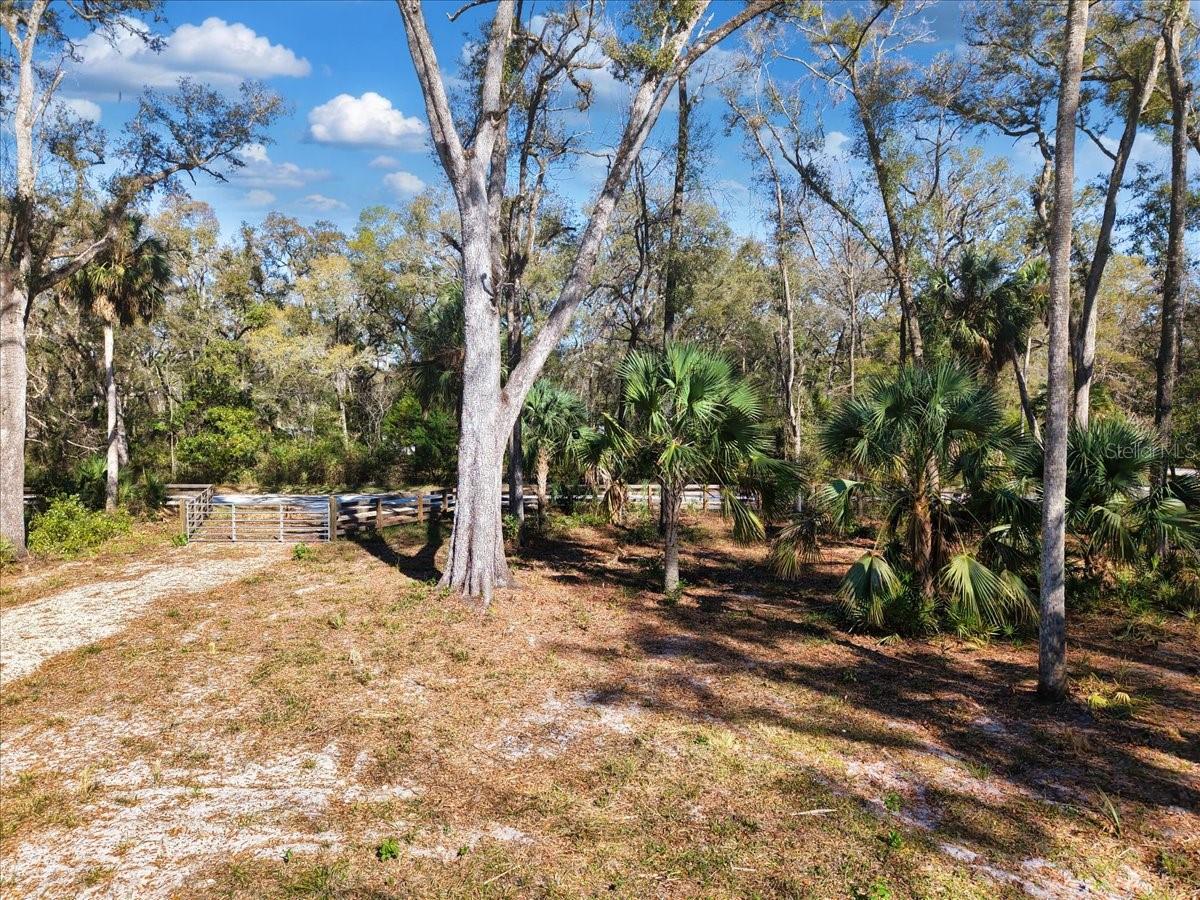 HOLLY HAMMOCK - Land