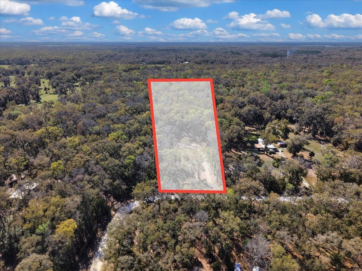 HOLLY HAMMOCK - Land