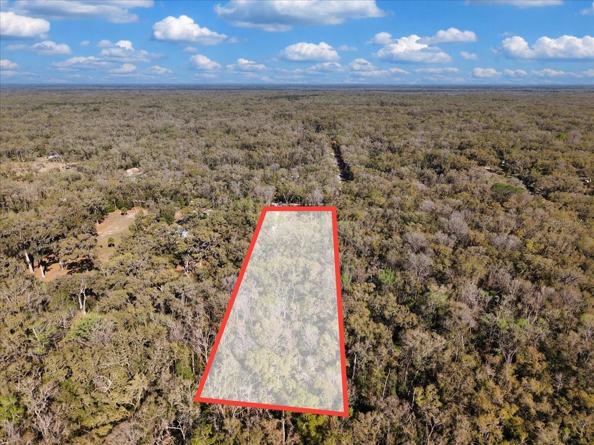 HOLLY HAMMOCK - Land