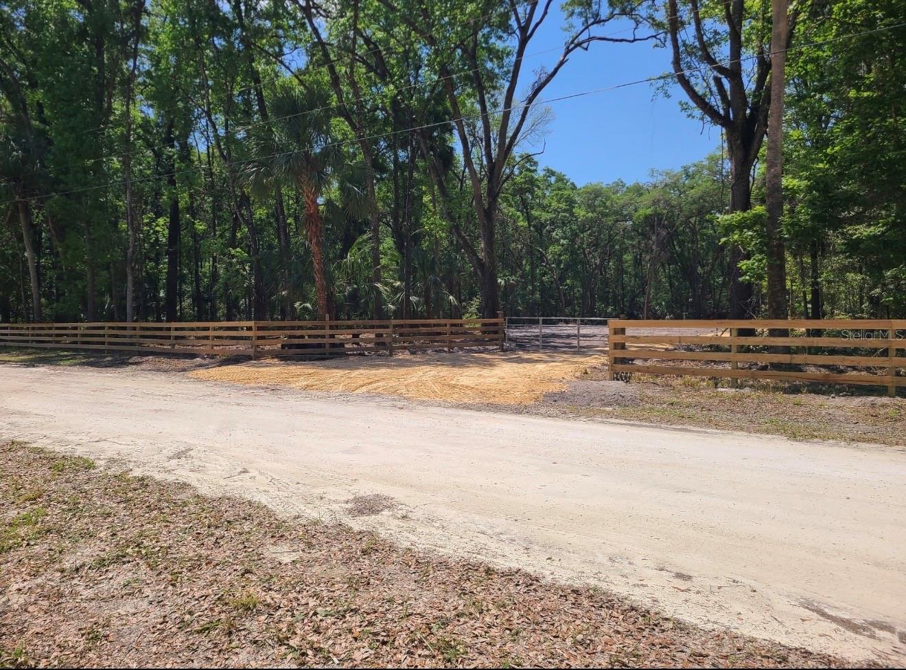 HOLLY HAMMOCK - Land