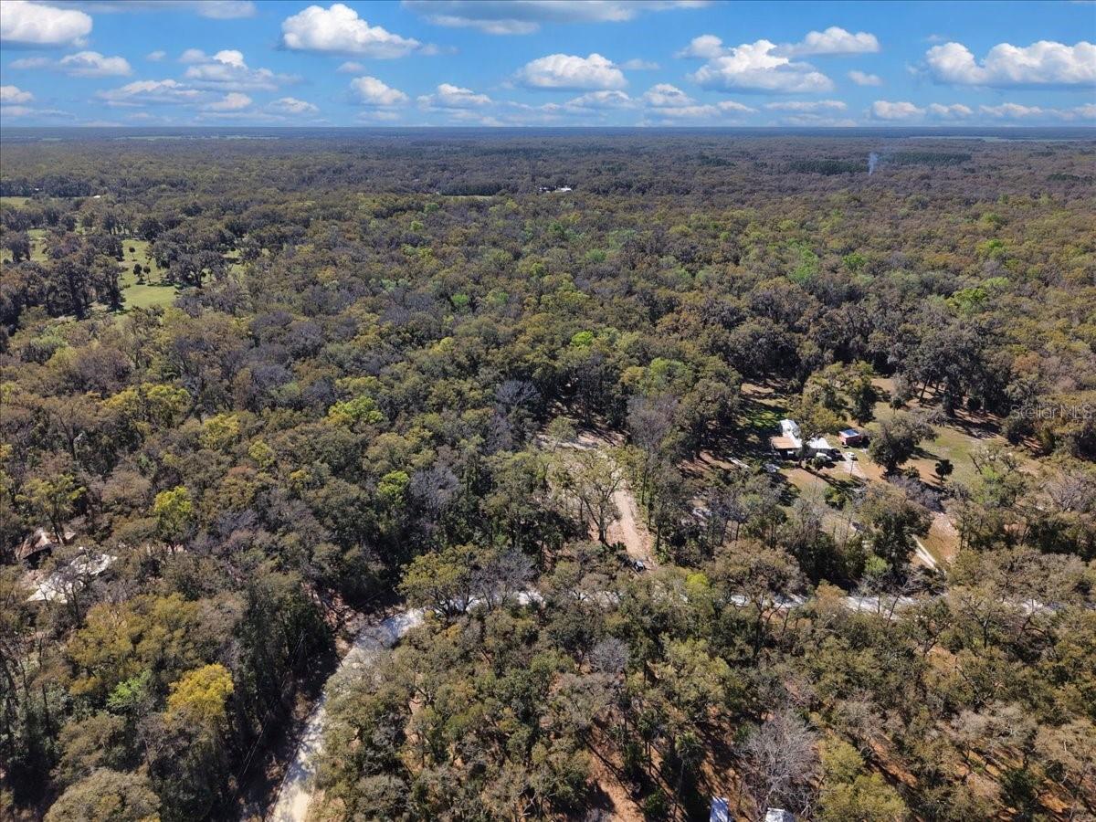 HOLLY HAMMOCK - Land