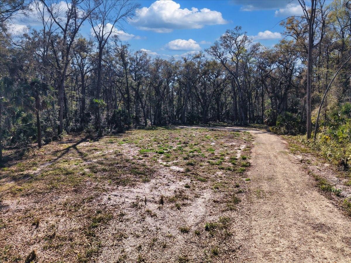 HOLLY HAMMOCK - Land