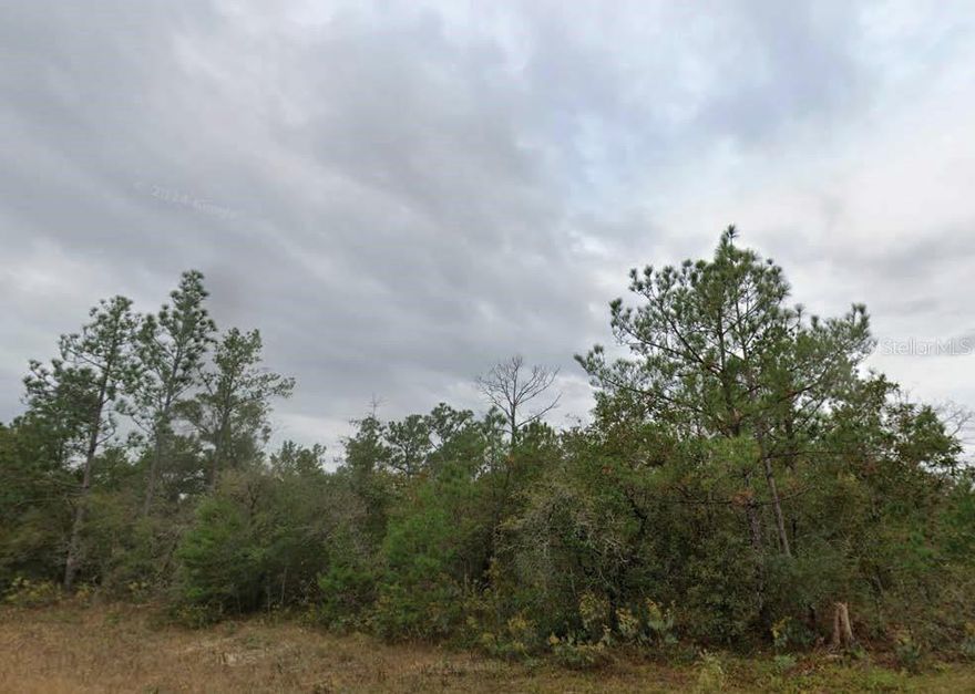 Located in the peaceful Sunny Hills community, this residential lot offers an excellent opportunity to build in a growing area of Washington County. With paved road access and a quiet setting, the property is nestled among natural surroundings while still providing convenient access to nearby lakes, a golf course, and main roads leading to Chipley and Panama City. Drive by and explore the potential!

All information is deemed accurate but should be independently verified.