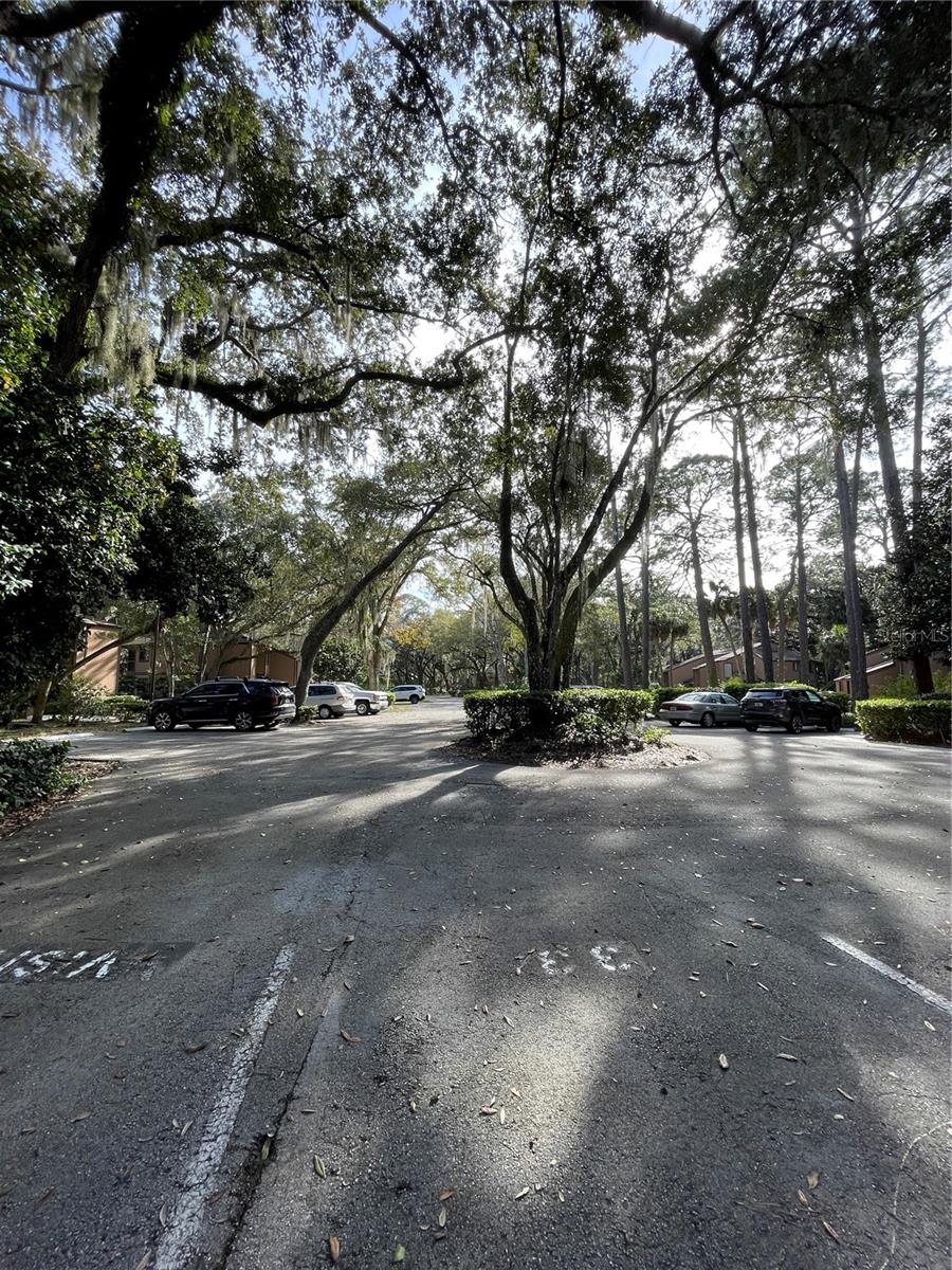 PALM COAST FAIRWAYS CONDO - Residential