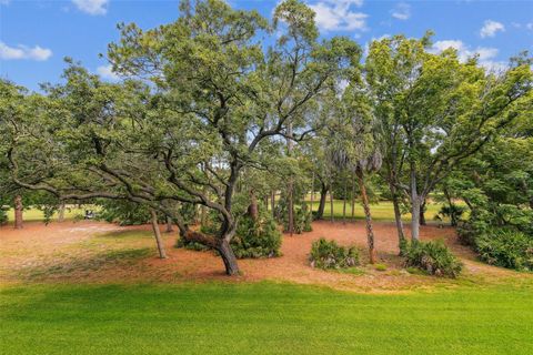 A home in PALM HARBOR