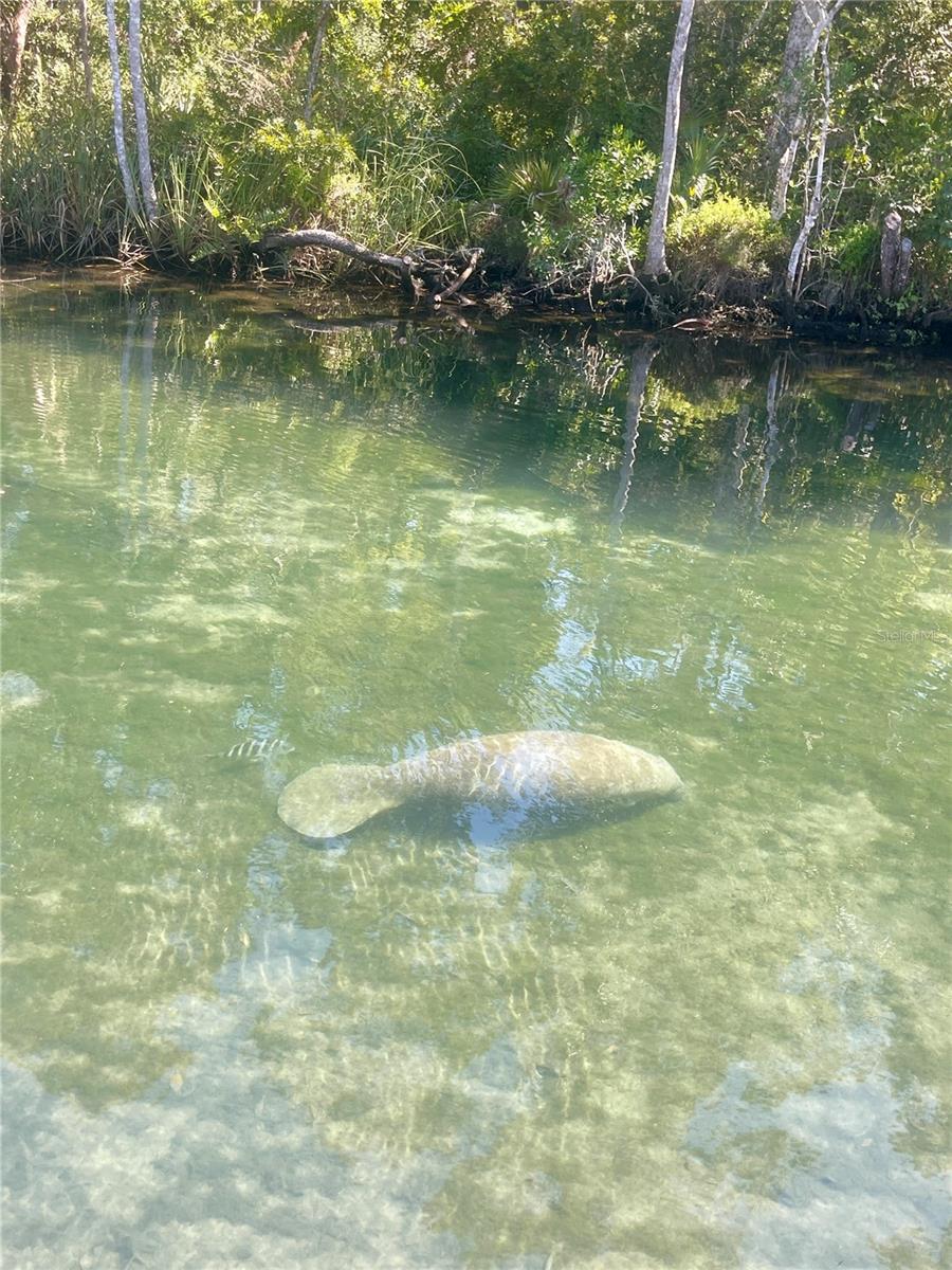 CHRISTIAN PARK SUB - Residential