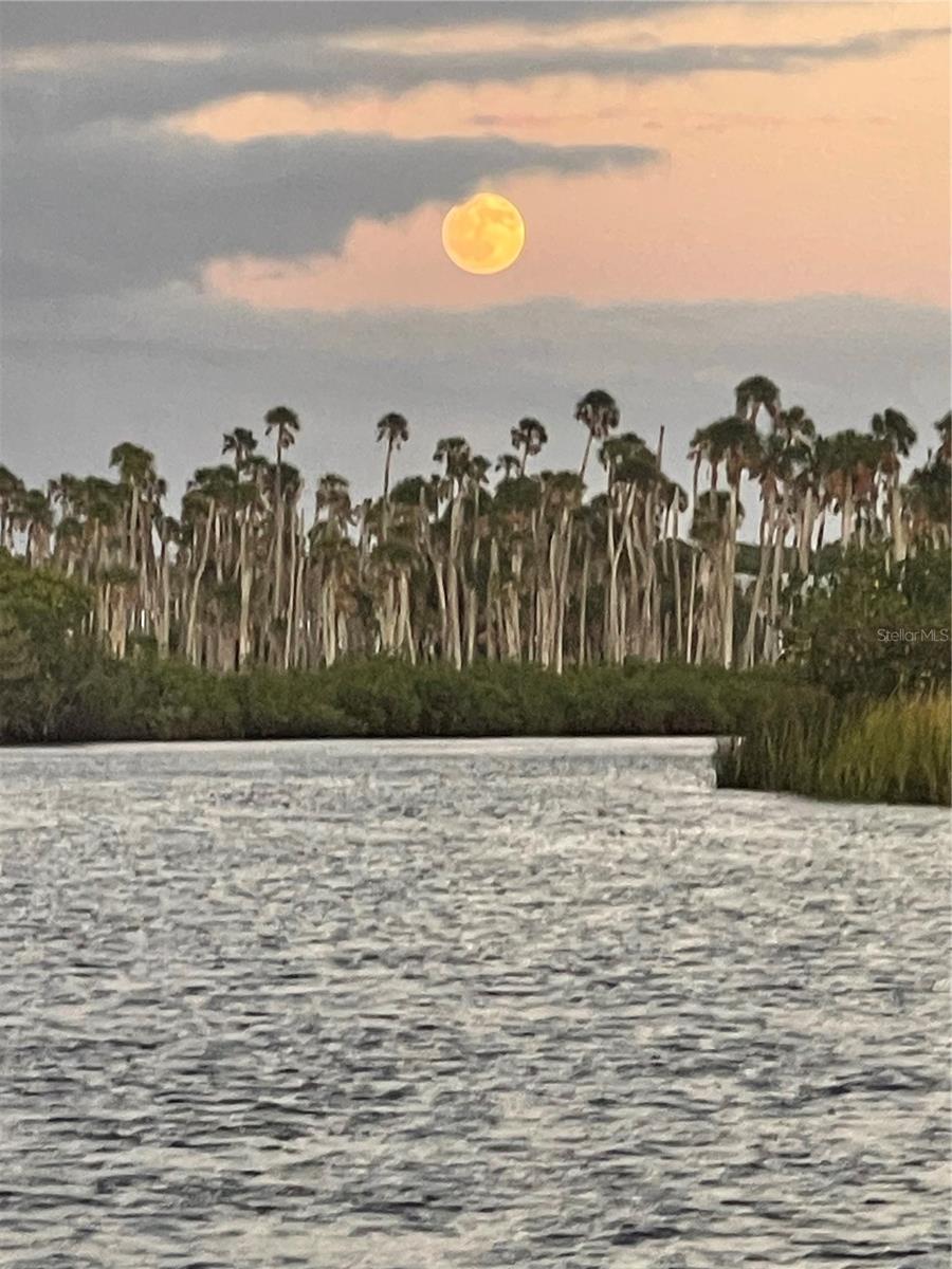 CHRISTIAN PARK SUB - Residential