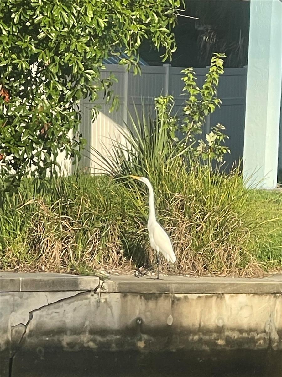 CHRISTIAN PARK SUB - Residential