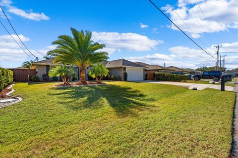 A home in PALM COAST