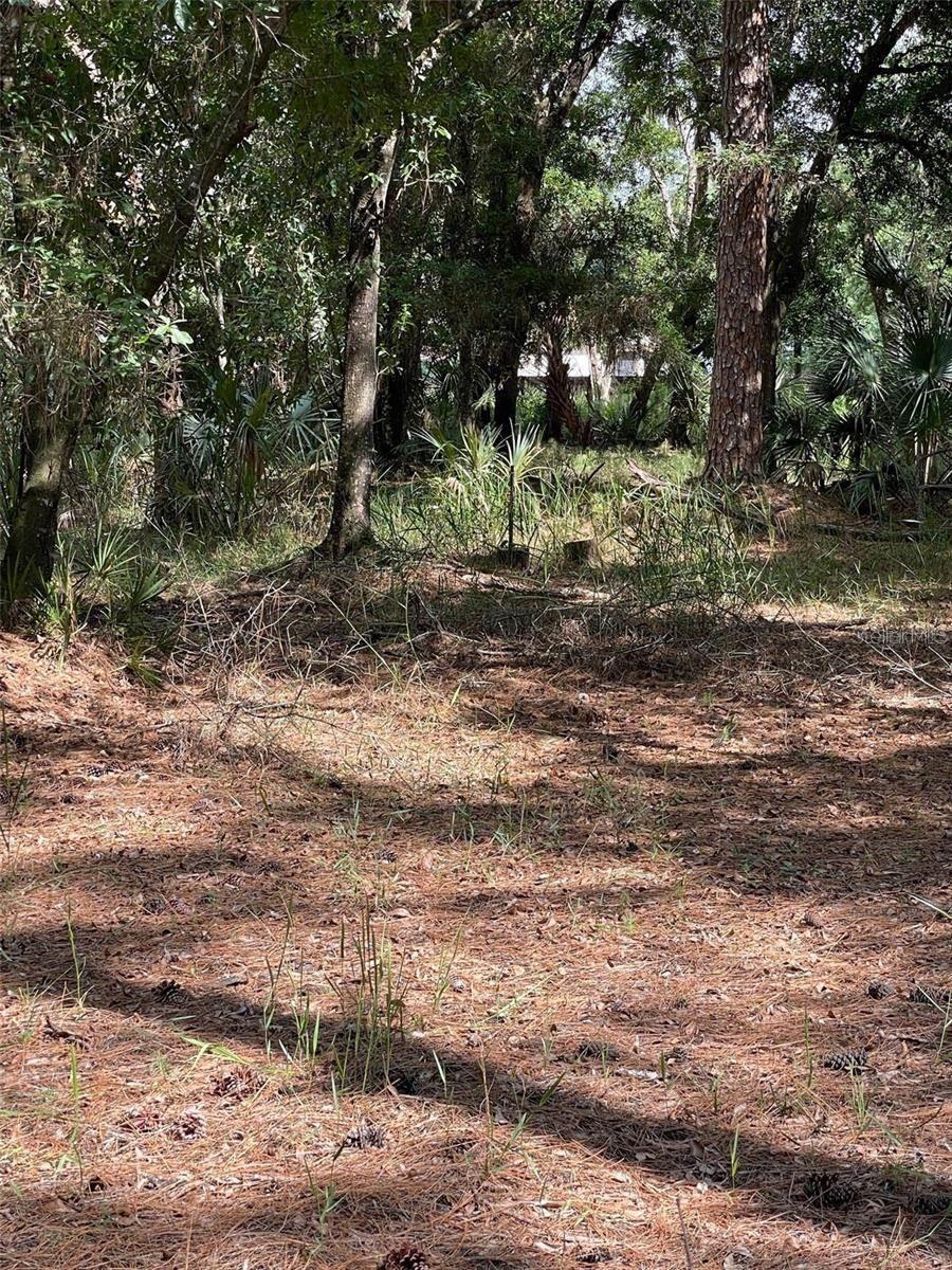 QUAIL HOLLOW PINES - Land